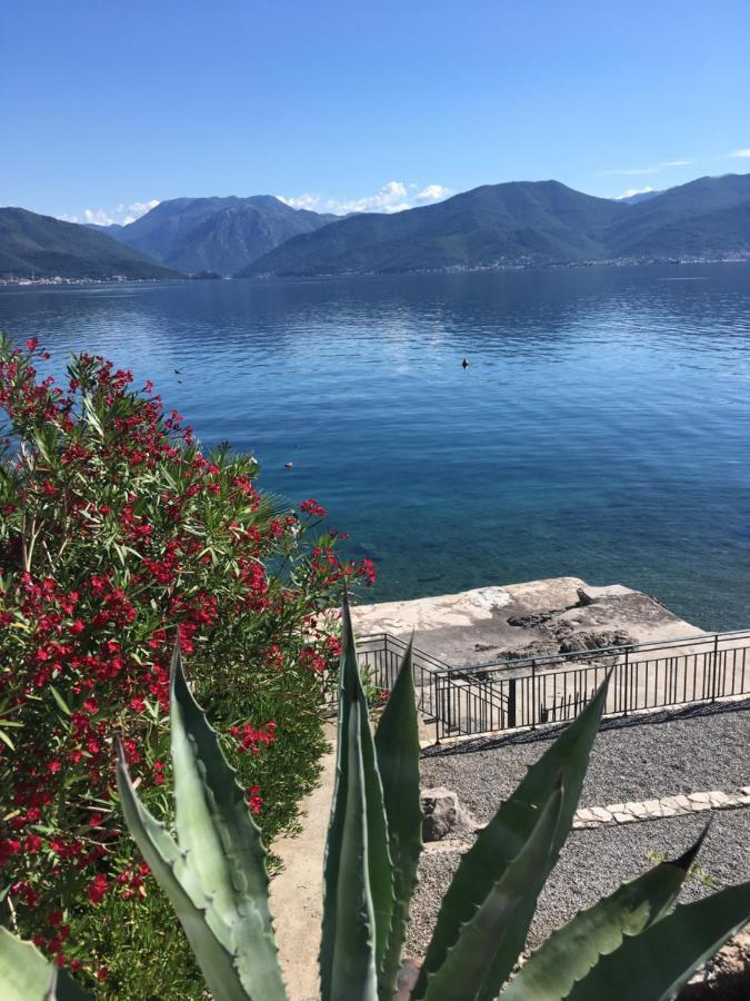 Apartment Tri Kiparisa Tivat Buitenkant foto